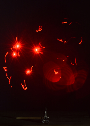 Image-preview_300x200