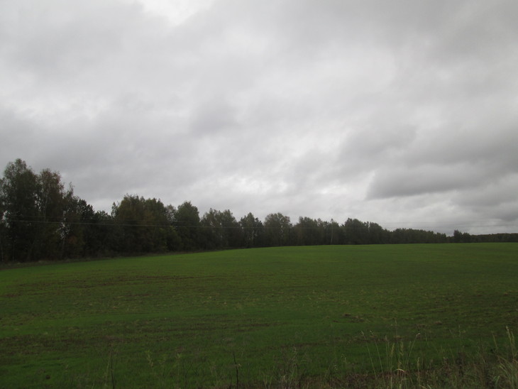 Image-normal