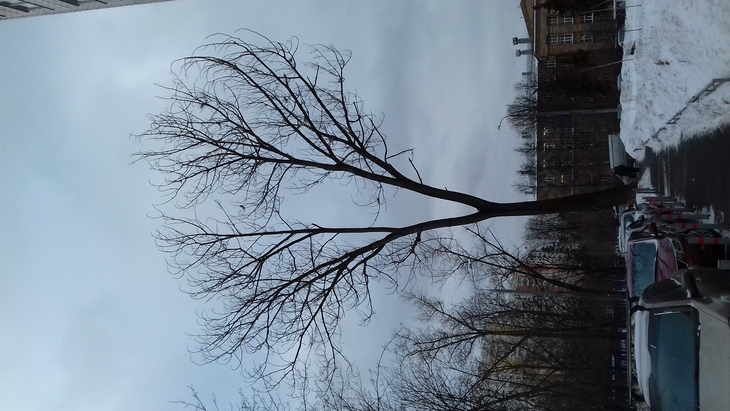 Image-normal