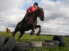 Image-rectangle_220_165