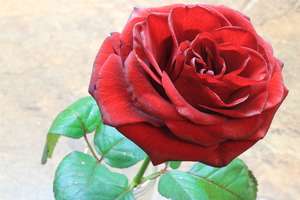 Image-preview_300x200