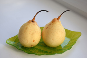 Image-preview_300x200