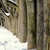 Image-square_50