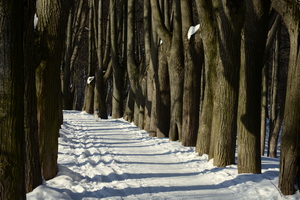 Image-preview_300x200