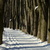 Image-square_50