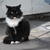 Image-square_50