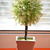 Image-square_50