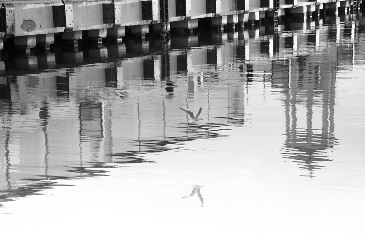 Image-normal