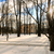 Image-square_50