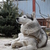 Image-square_50