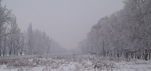 Image-preview_300x200