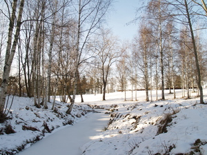 Image-preview_300x200