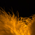 Image-square_50