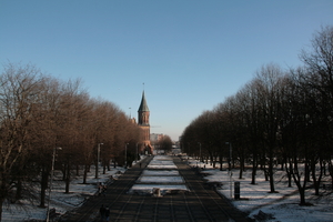 Image-preview_300x200