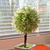 Image-square_50