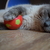 Image-square_50