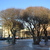 Image-square_50