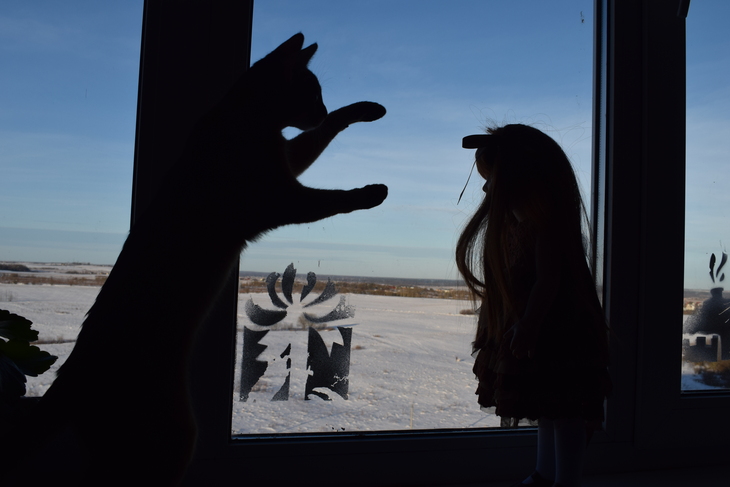 Image-normal