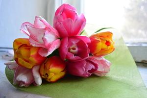 Image-preview_300x200