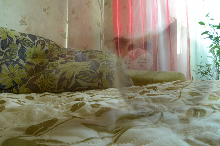 Image-normal