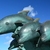 Image-square_50