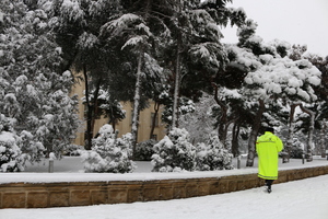 Image-preview_300x200