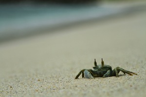 Image-preview_300x200