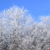 Image-square_50
