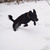Image-square_50