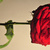 Image-square_50