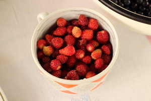 Image-preview_300x200