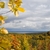Image-square_50