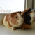 Image-square_50