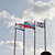 Image-square_50
