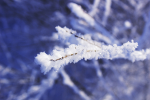 Image-preview_300x200