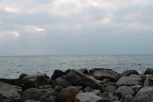 Image-preview_300x200