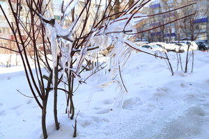 Image-preview_300x200