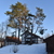 Image-square_50