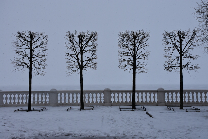 Image-normal