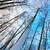 Image-square_50