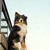 Image-square_50