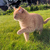 Image-square_50