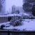 Image-square_50