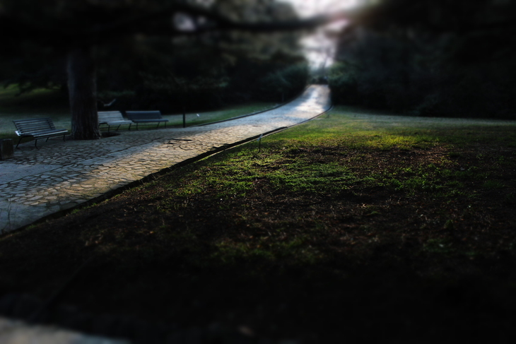 Image-normal
