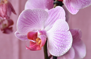 Image-preview_300x200