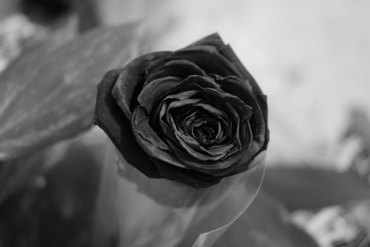 Image-normal