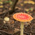 Image-square_50
