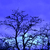 Image-square_50