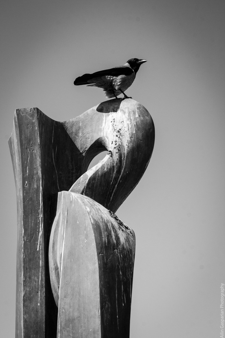 Image-normal