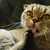 Image-square_50